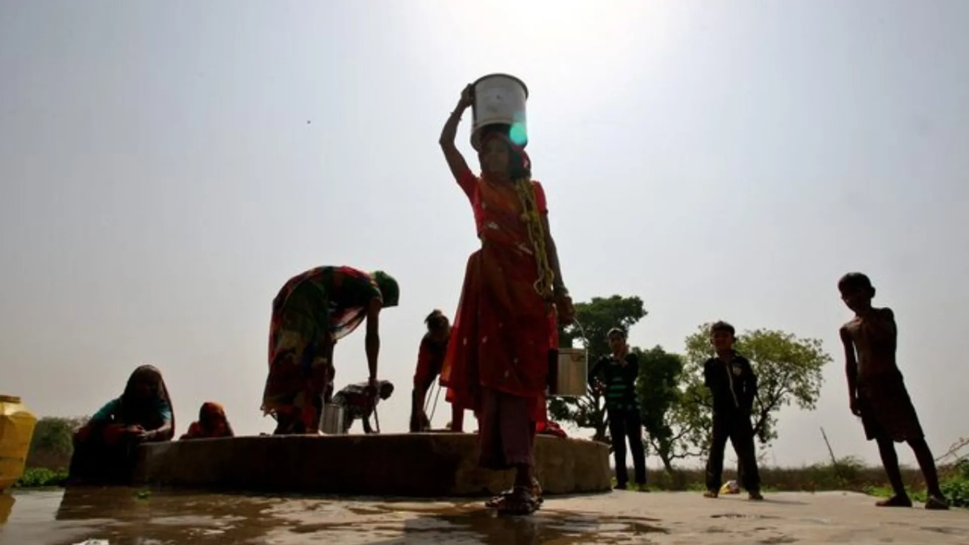 Indian activist shows trees can lower the temperature by six degrees Celcius amid heat wave