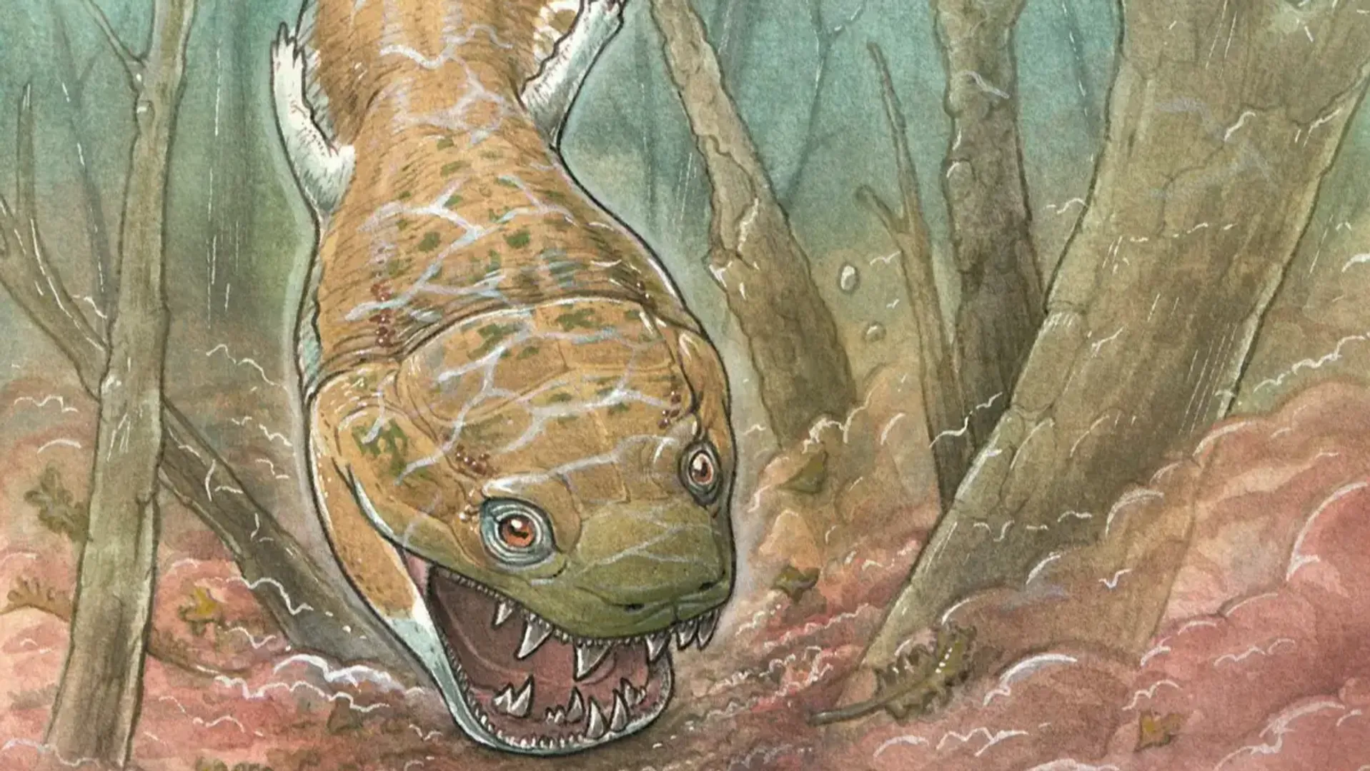 Massive prehistoric Salamander fossil discovered, predating dinosaurs