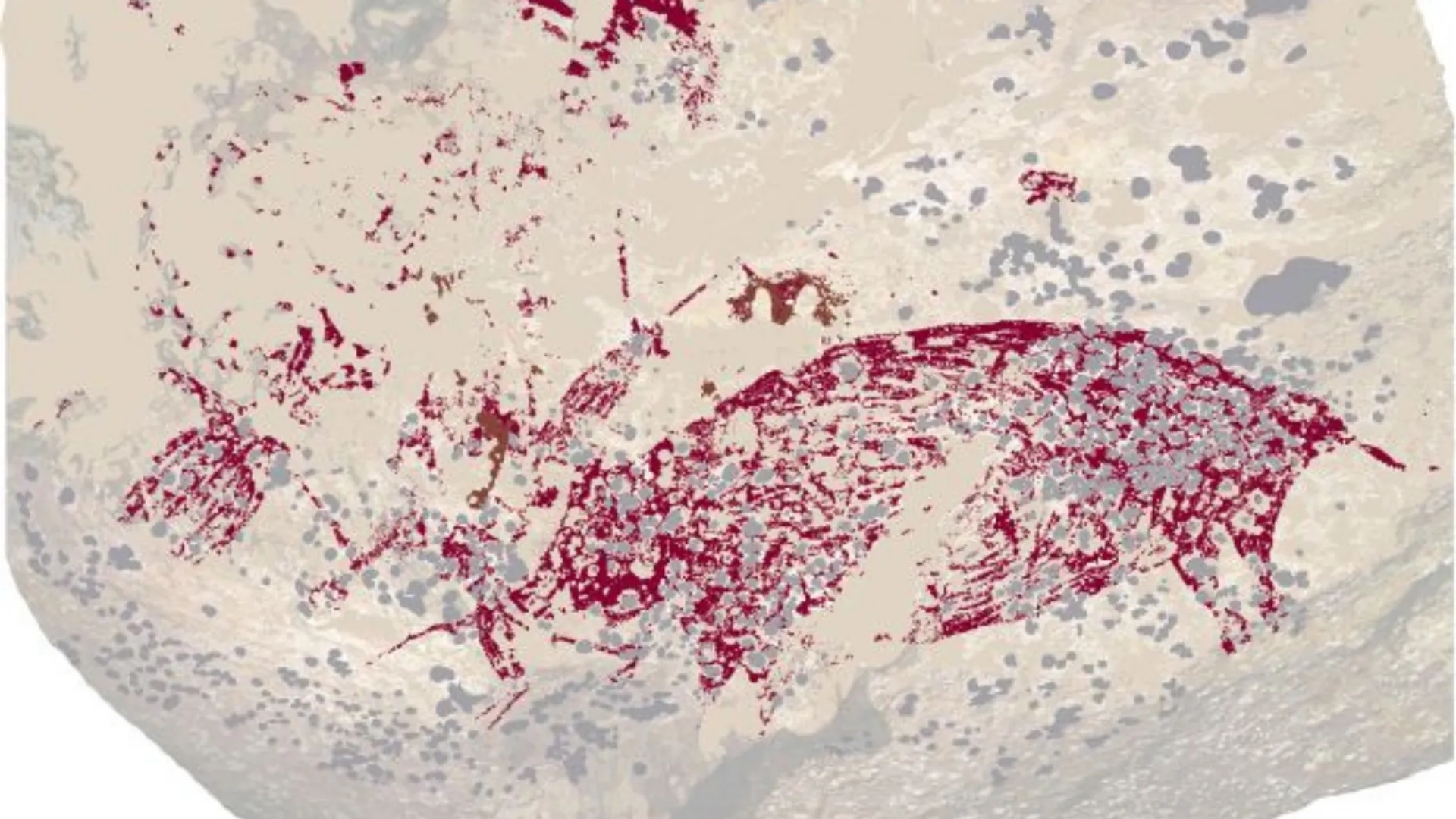 THIS animal was painted in first artwork created by humans in Indonesian cave