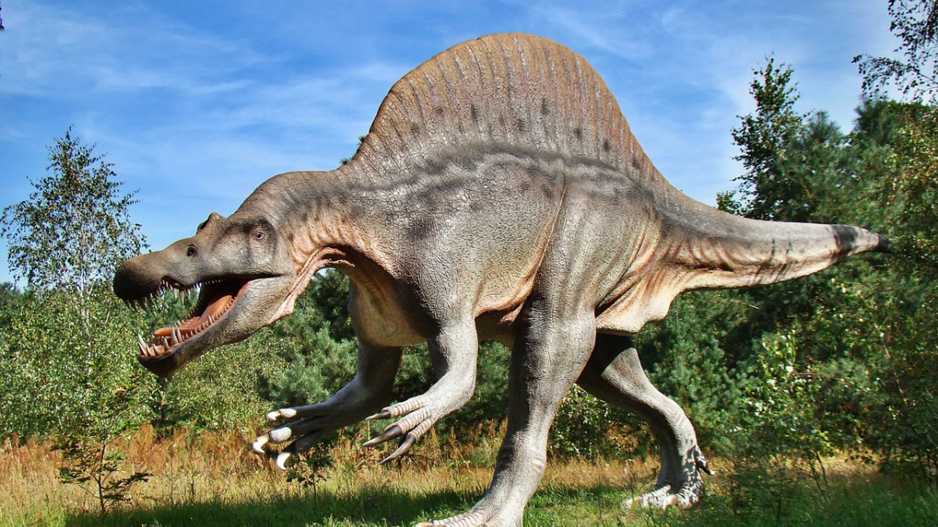 Dinosaurs were travelling across continents, matching footprints of predators suggest