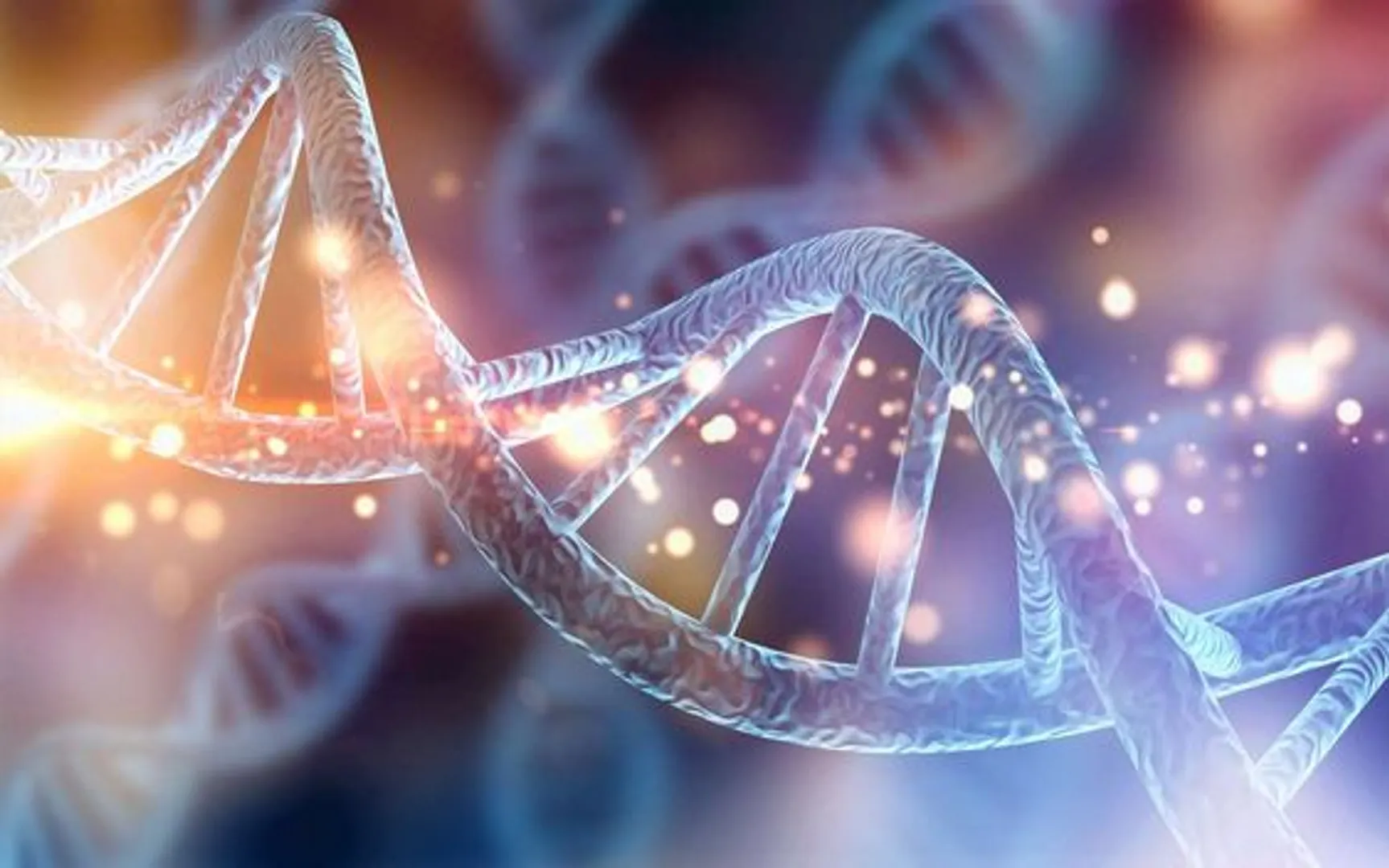 Study finds human-Neanderthal interbreeding dates back earlier, shaped genetic diversity
