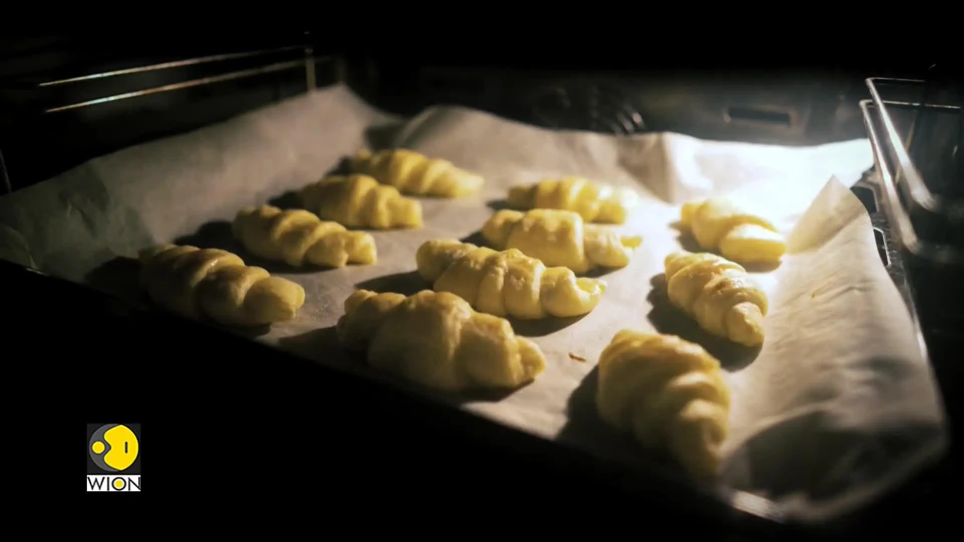 Gravitas: Can bacteria thrive in microwave?