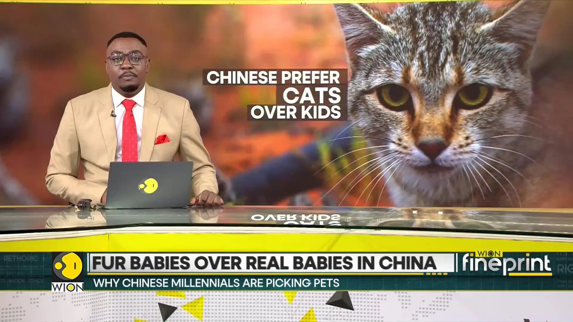 China's pet boom: Why Chinese millennials are picking pets over raising kids