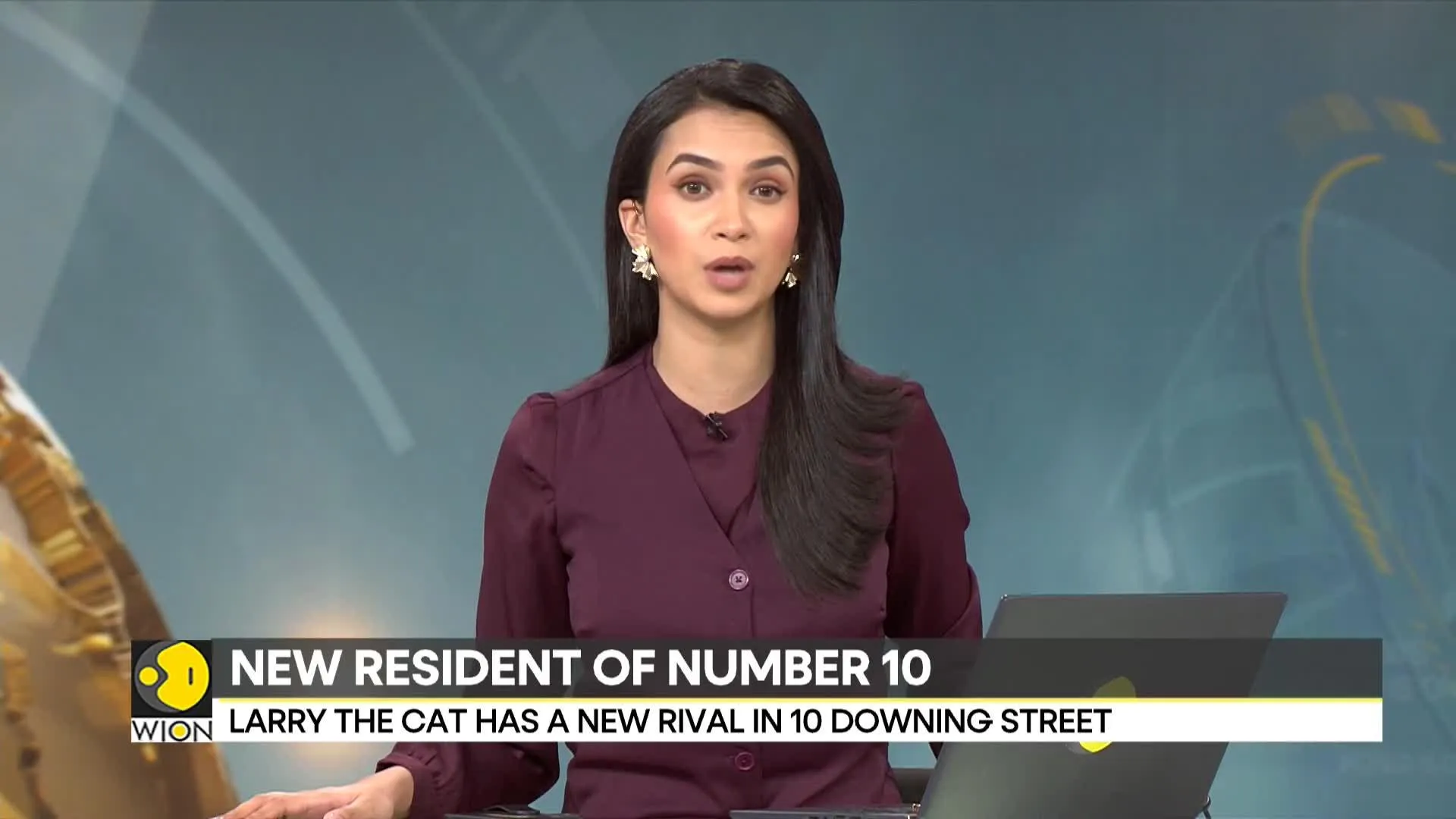 UK: Starmer family gets a new kitten after a long summer of negotiation