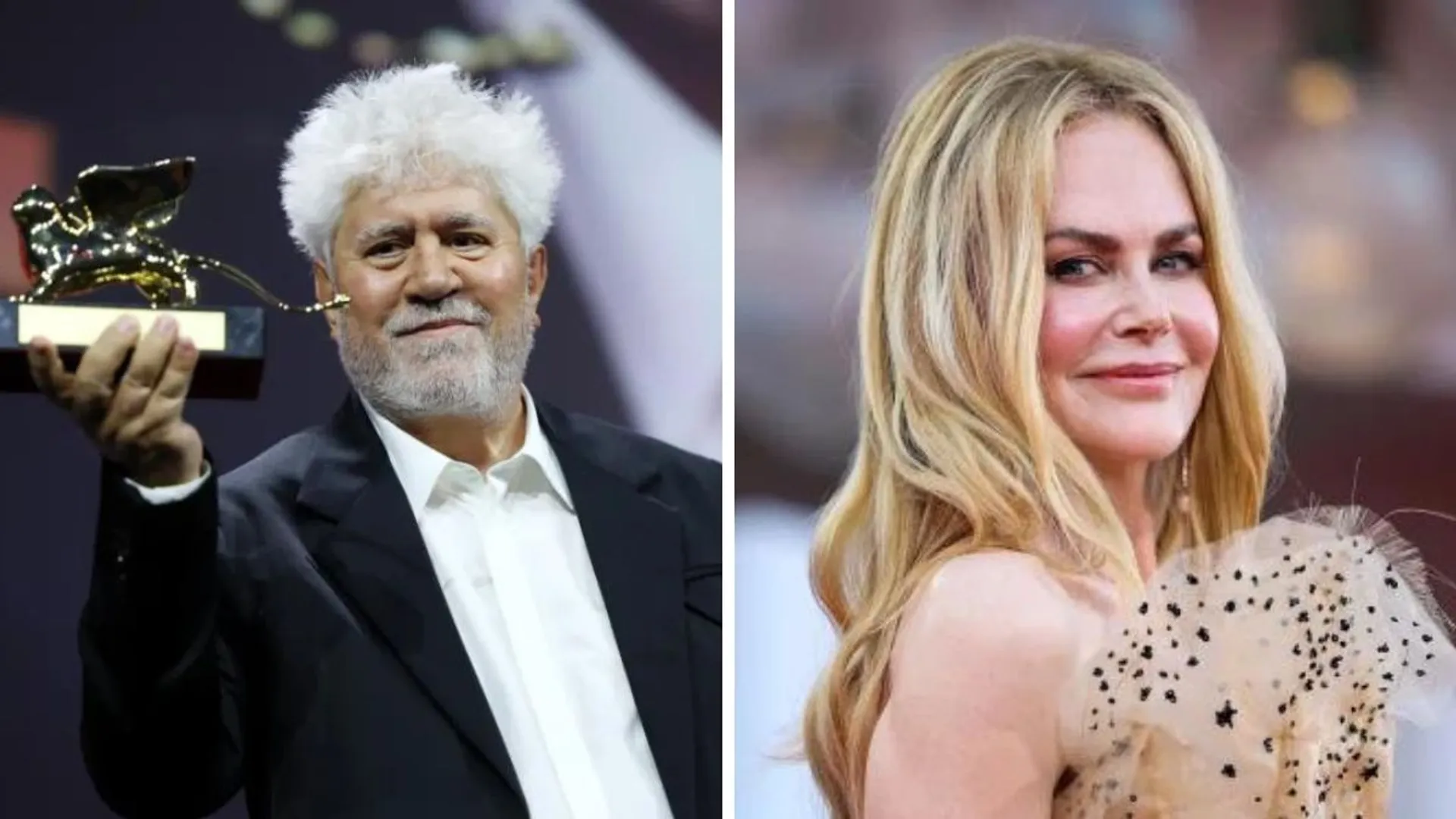 Venice Film Festival 2024: Almodóvar, Nicole Kidman among top winners; check full list