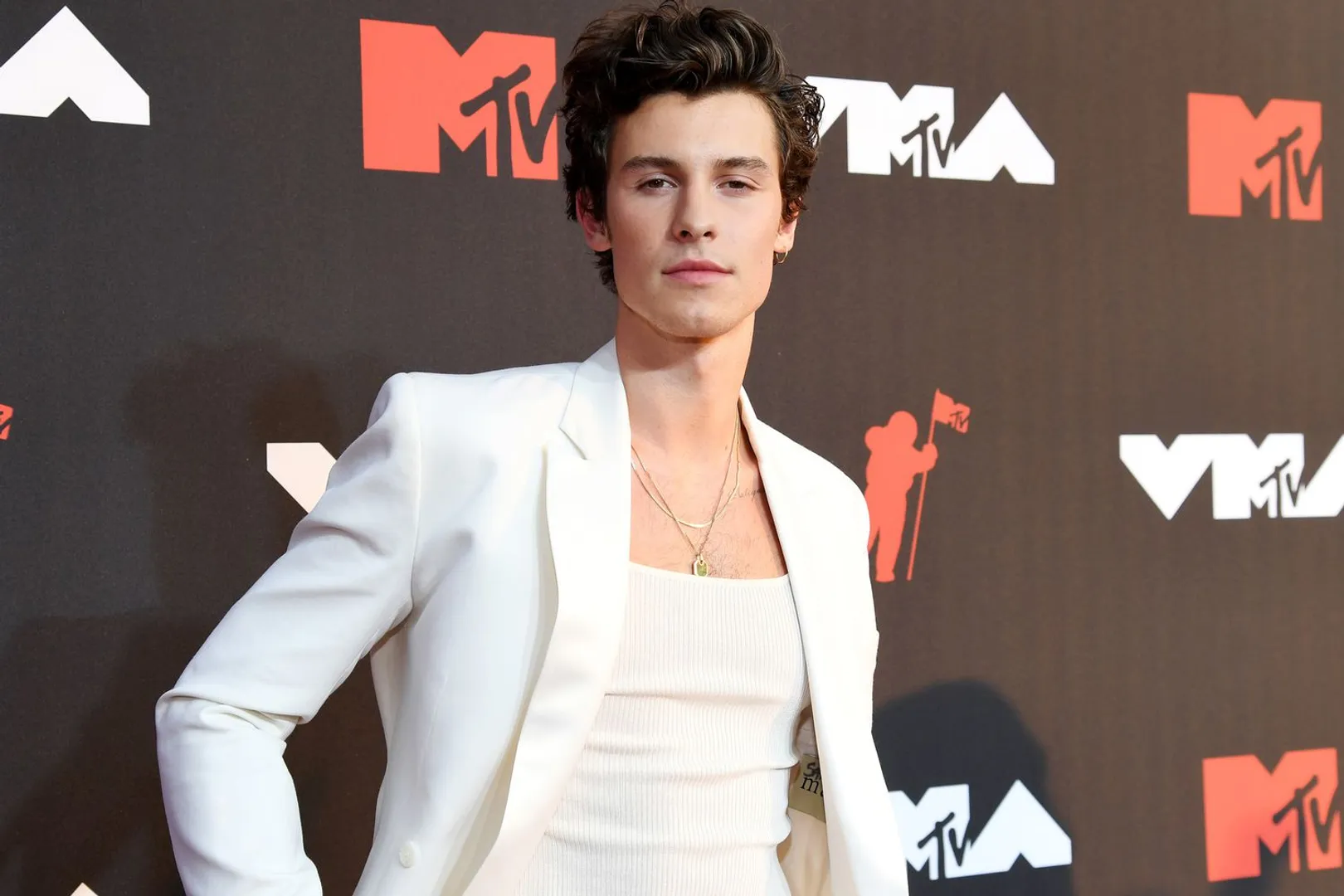 Big news! Green Day, Shawn Mendes to perform in India at Lollapalooza 2025