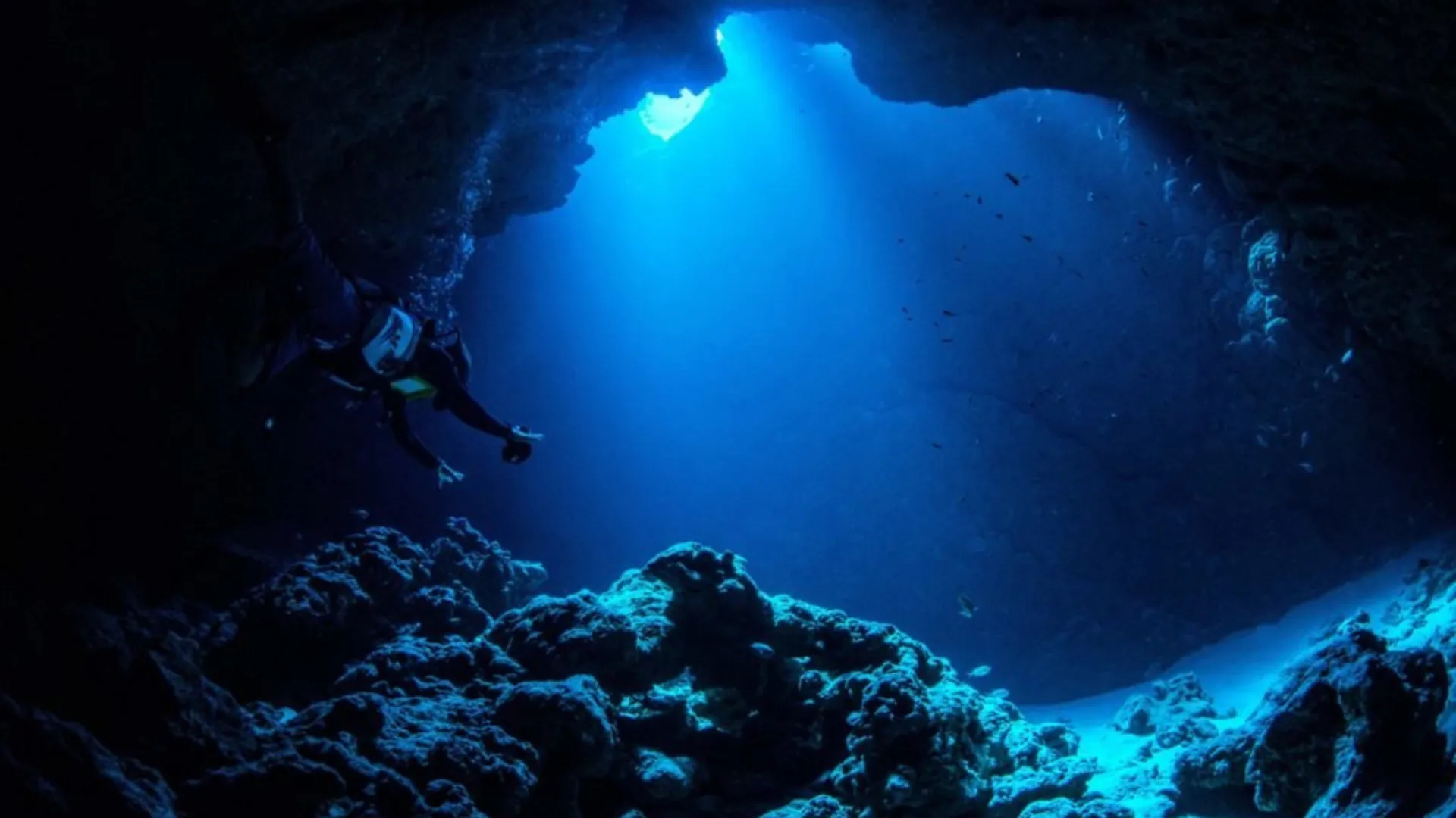 Creepy sounds are echoing through Mariana Trench, and we now know the cause
