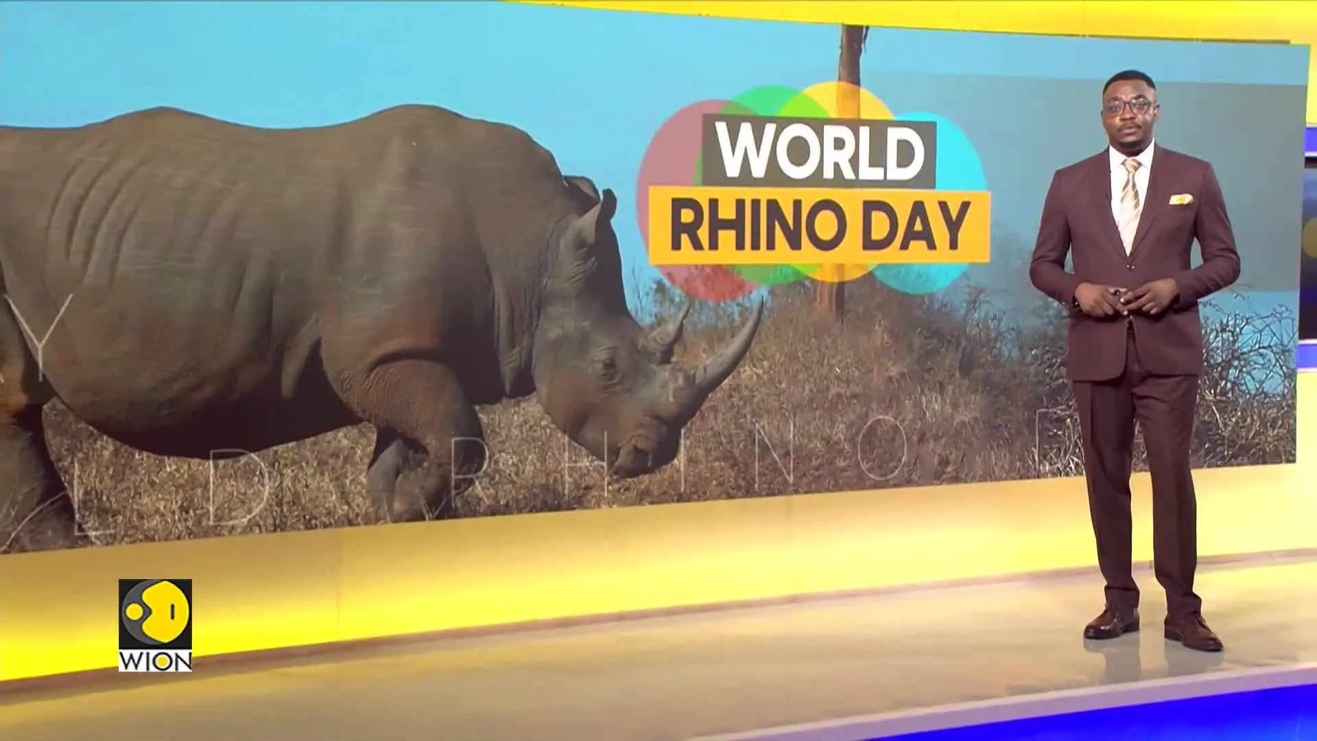 World Rhino Day 2024: Day Highlights Global Effort To Protect Rhinos | World Of Africa