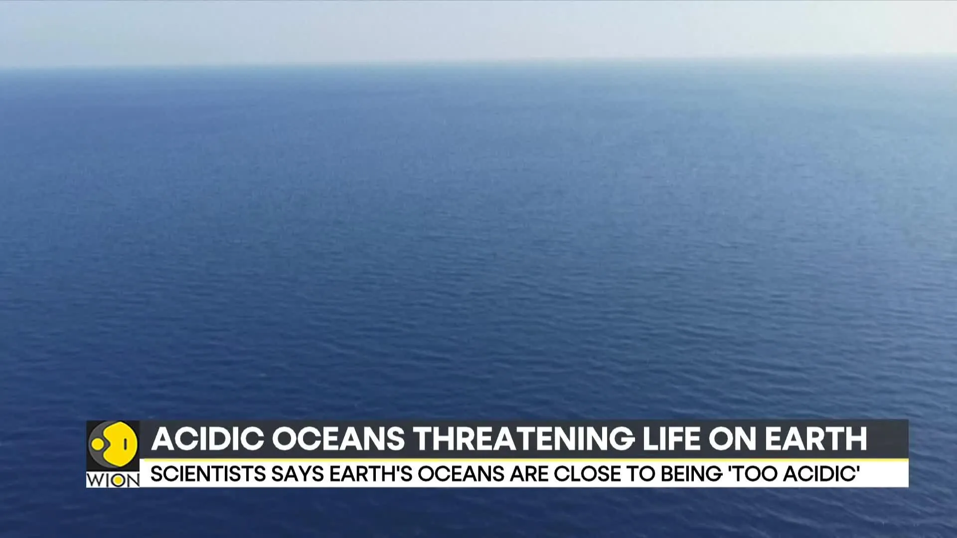 Will Marine Life Disappear In The Oceans?