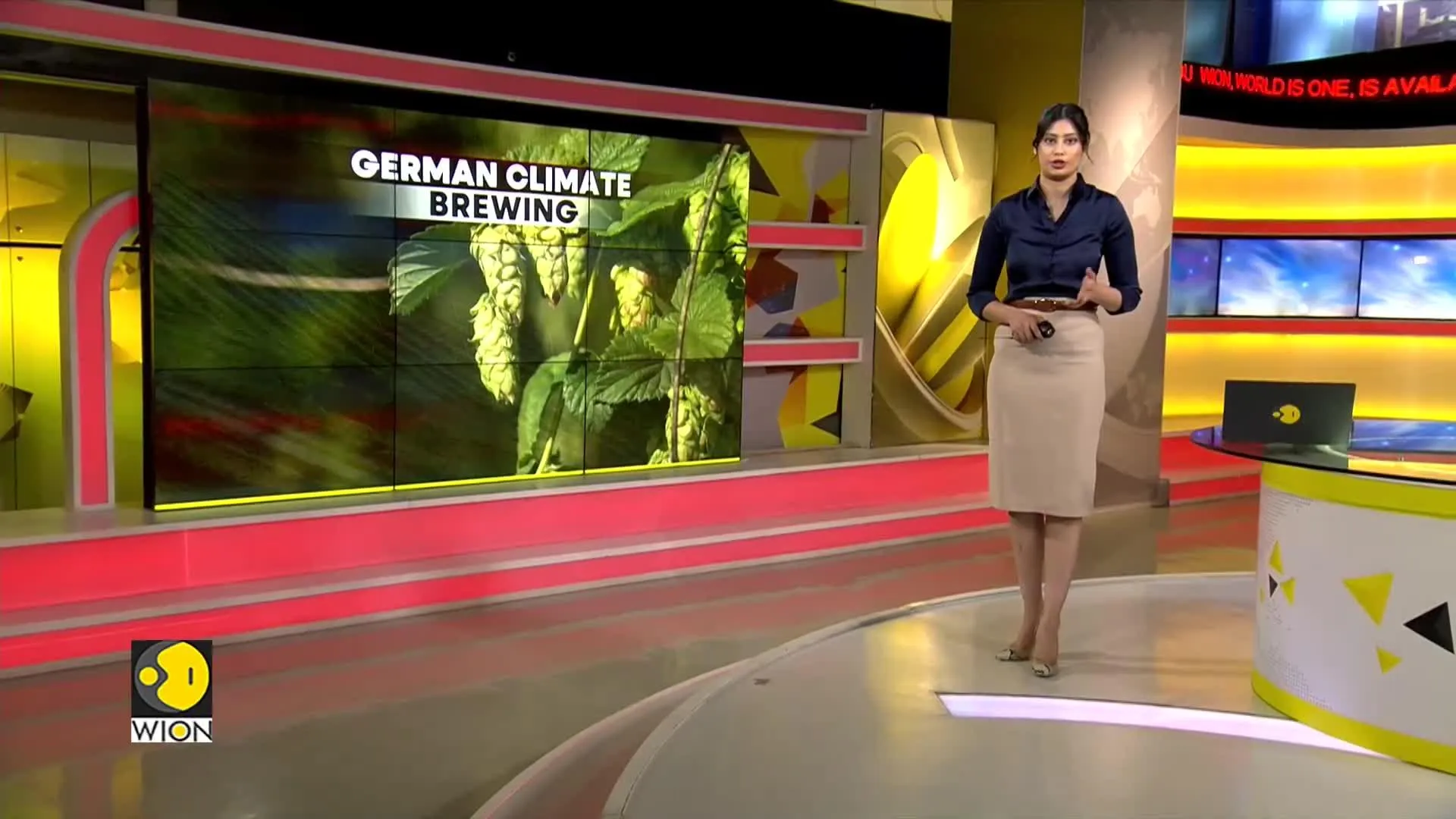 Germany: Beer industry use education to make their hops climate resilient