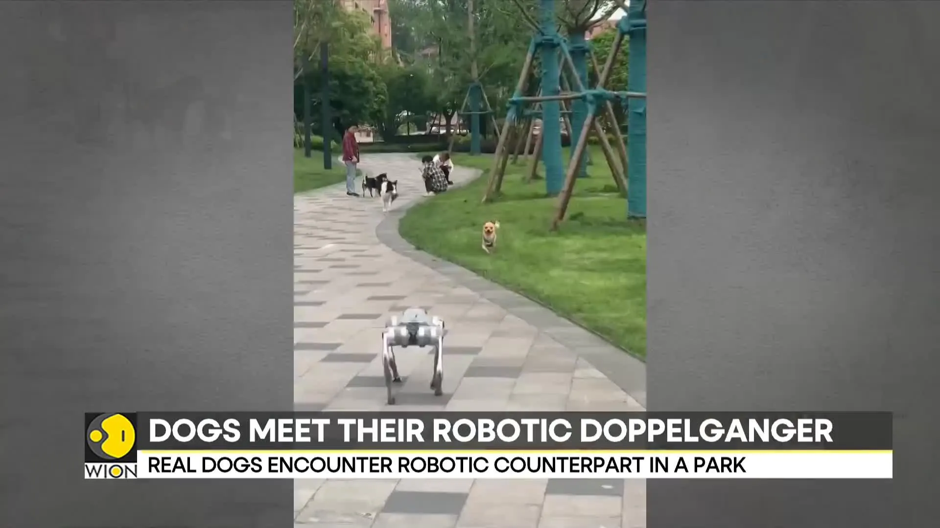 Viral Robot Dog Video Sparks Reactions as Real Dogs Encounter Their Robotic Doppelgangers