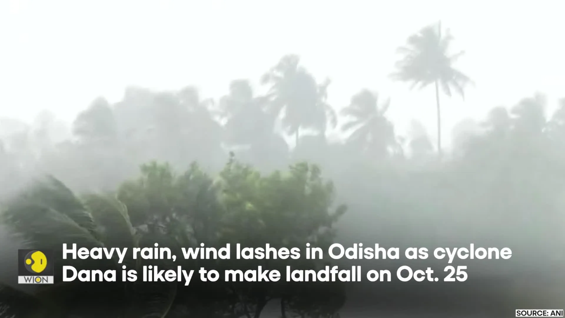 Cyclone Dana: Red Alert In Odisha As Cyclone Dana Set To Make Rainfall | WION Originals
