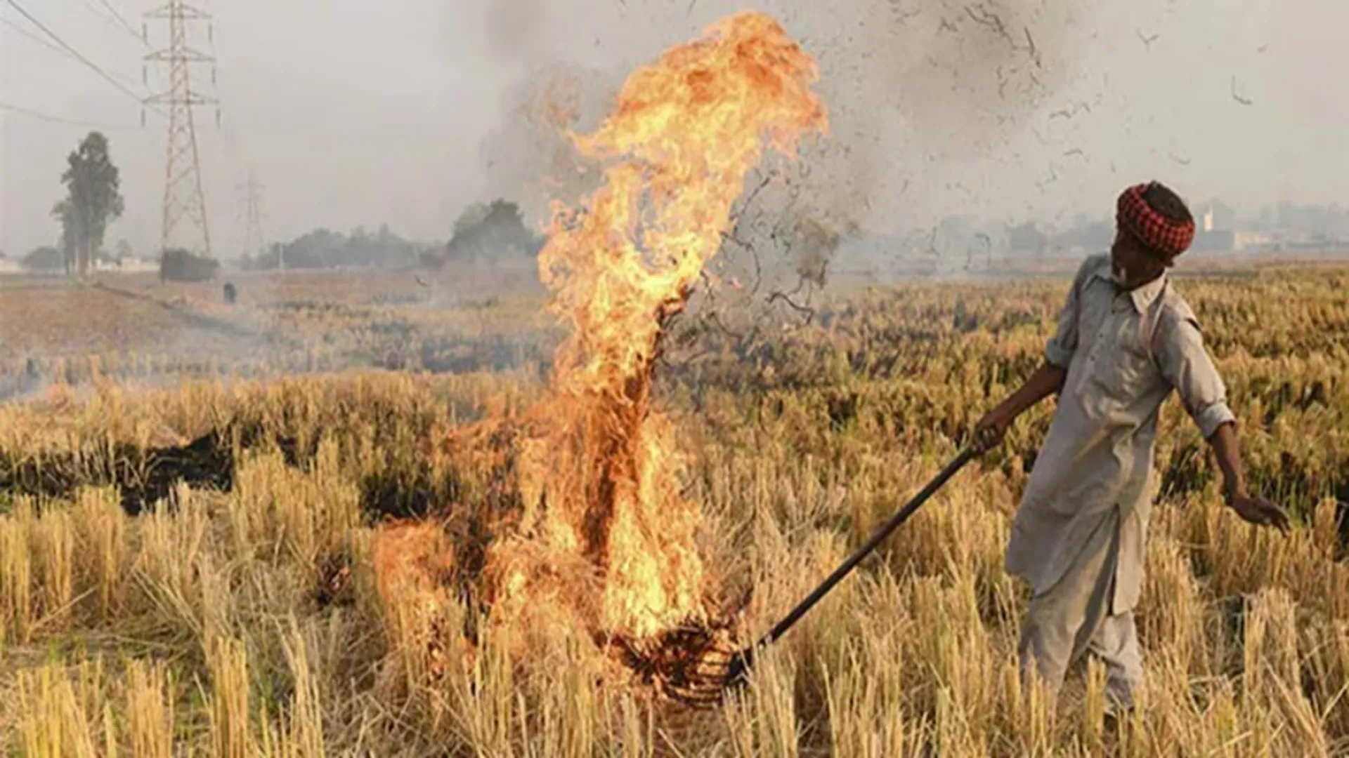 India: Centre doubles penalty for farmers burning crop residue over deteriorating Delhi-NCR air quality