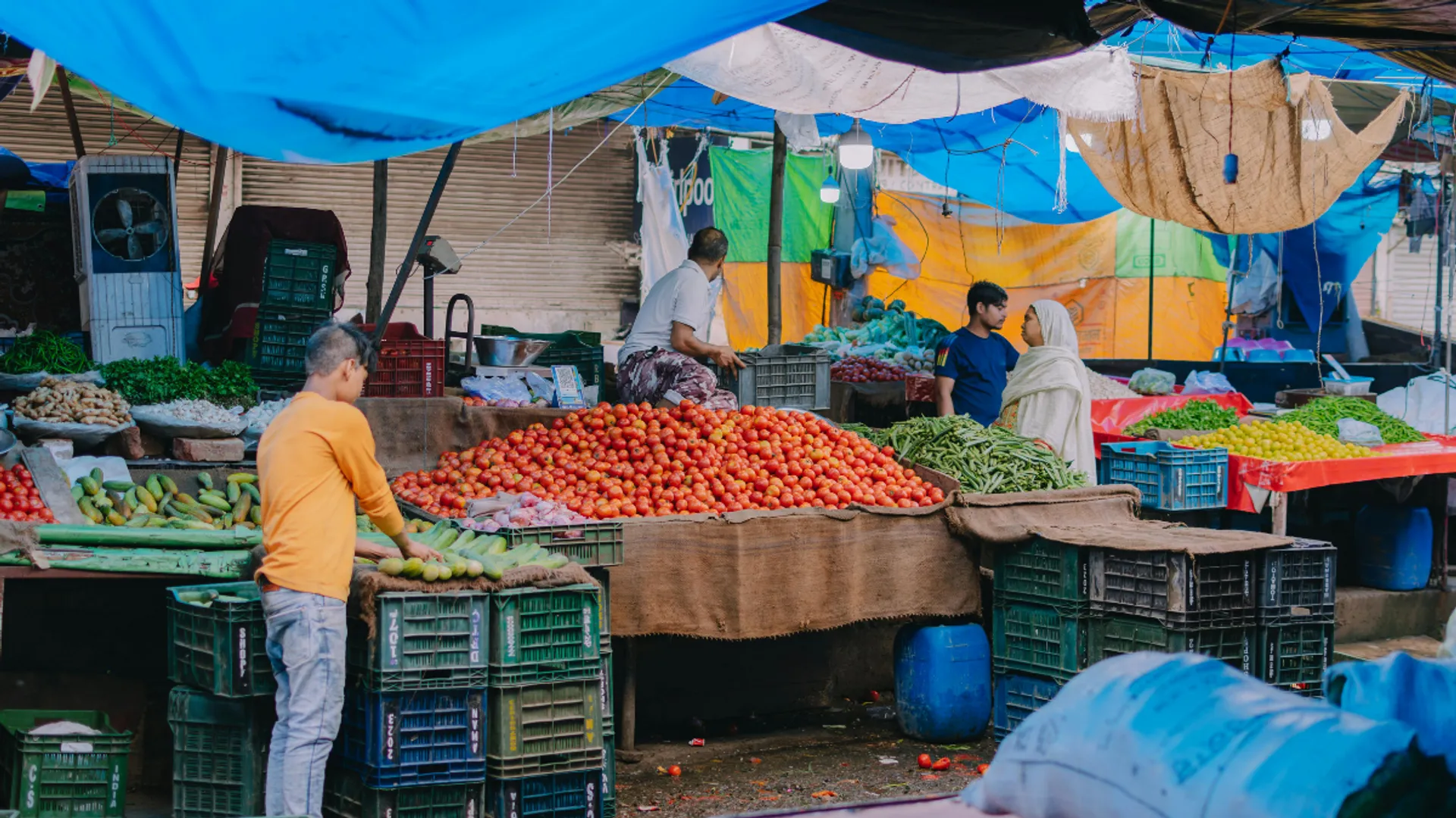 Vegetable vendors in Najafgarh area of Delhi now need name plates. Details