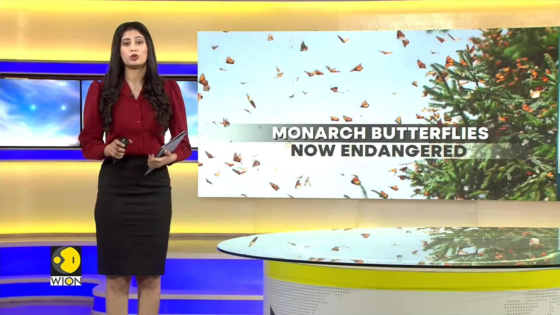 Climate Change Affects Butterfly Population
