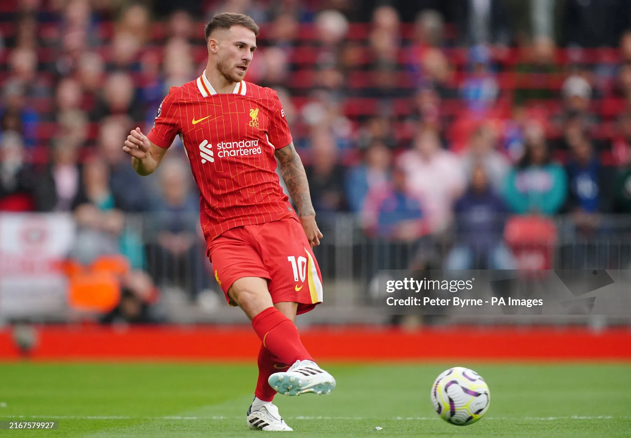 Liverpool vs Brentford: Alexis Mac Allister -sportzpoint.com