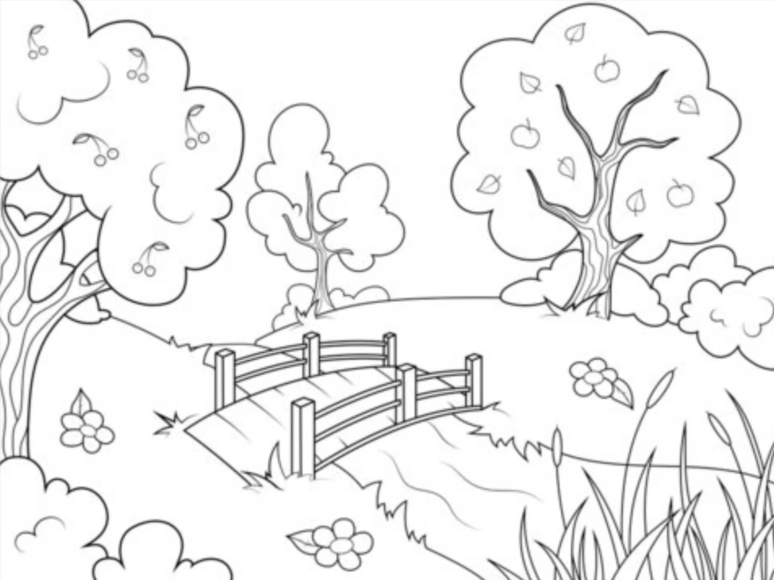 colour the picture