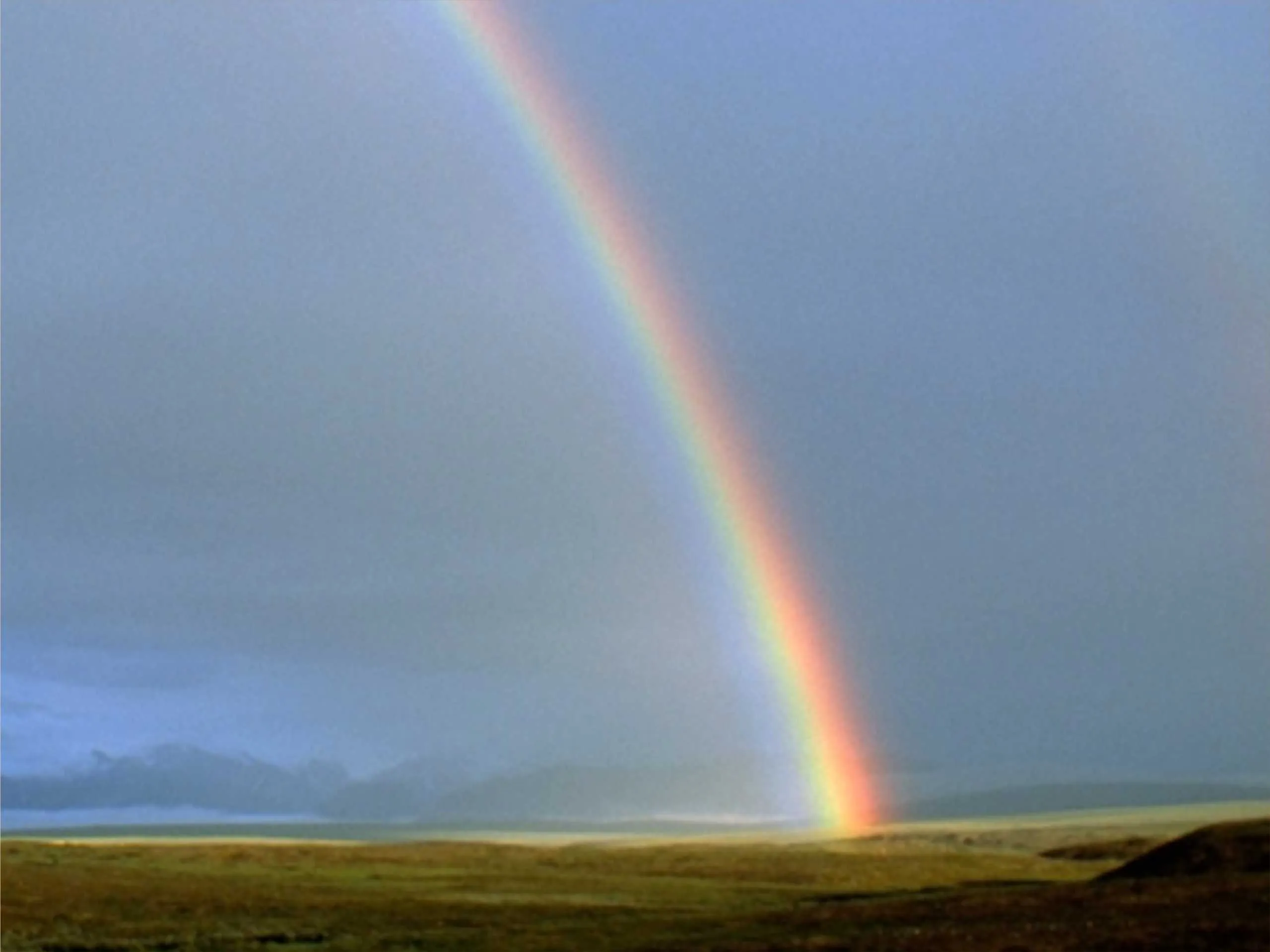 rain bow