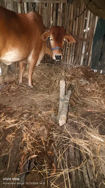 WhatsApp Image 2024-12-12 at 5.05.18 PM