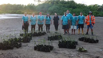 Guadeloupe Launches Tree Planting Initiative to Celebrate "Land of Champions"
