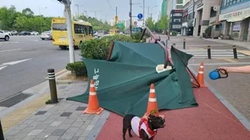 Seoul Deploys Over 1,400 Human-Pet Dog Patrol Teams to Boost Neighborhood Safety