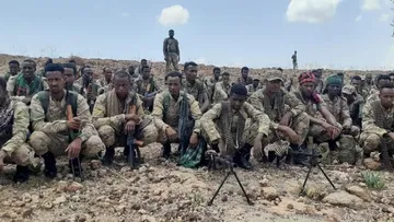Civilians and Officials Flee as Clashes Erupt in Tigray-Amhara Border Region