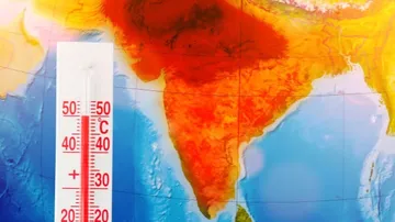 India Braces for Heatwaves as Nearly 1 Billion People Vote in Summer Elections