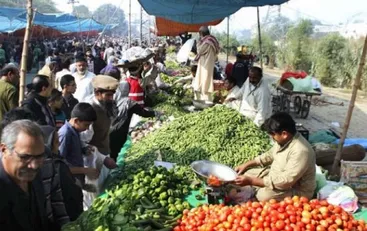 Hyderabad Bowenpally Market Generates Electricity From Waste Vegetables -  Amar Ujala Hindi News Live - वो मंडी जहां सब्जियों के कचरे से रोजाना तैयार  होती है बिजली और जैविक खाद