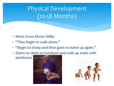 physical-development-12-18-months