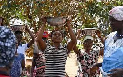 Zambia SHG
