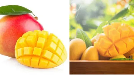 Image Credit: File image/Times Now