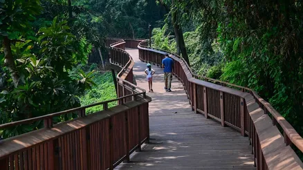 The Malabar Hill Elevated Walkway: Mumbai's First Tree-Top Nature Trail Is  Officially Open | Homegrown India