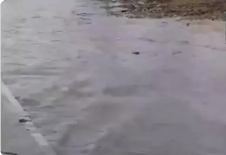 বৃষ্টির ফলে রাস্তা পরিণত নদীতে