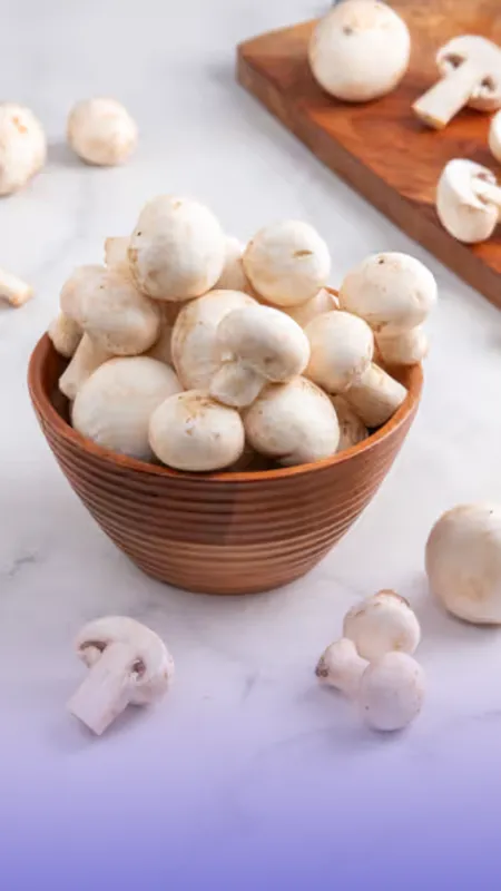mushroom4