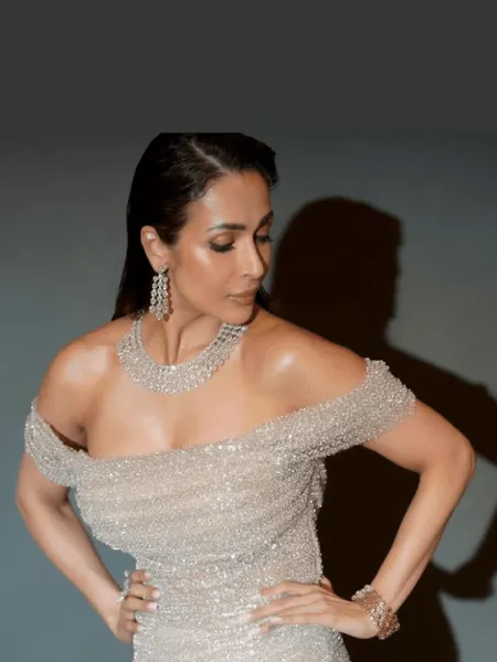 Malaika Arora Shimmery Dress