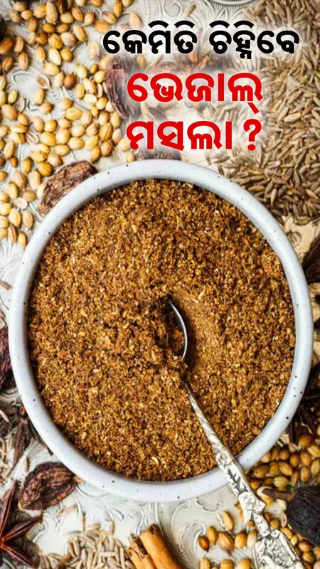 masala 1