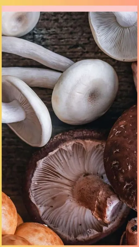 मशरूम खाने के फायदे 5