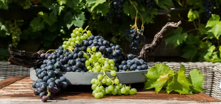 Grapes 