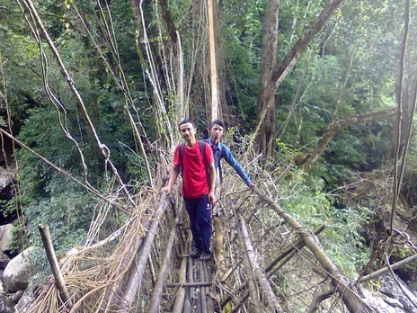 Meghalaya: How this school dropout is preserving centuries-old living root bridges & empowering tribals