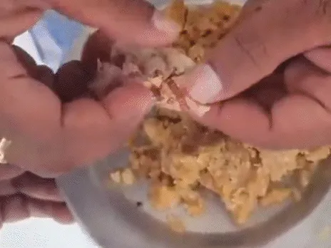 Tobacco in Tirupati Laddu: तिरुपति मंदिर के लड्डू में चर्बी के बाद अब  तंबाकू मिलने का दावा.. - Lalluram