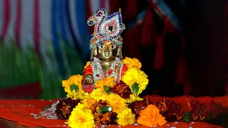 घर में हैं लड्डू गोपाल तो जानें किस माह में चढ़ाएं कौन सा फूल | offer these  flowers to laddu gopal according to month for prosperity | HerZindagi