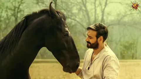 Ajay Devgn and Aaman Devgan Showcase a Tale of Love and Loyalty in the Teaser of Azaad Hai Tu Song from Abhishek Kapoor’s Azaad!