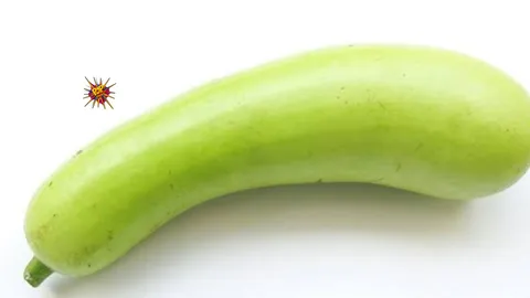 WTF News: Farmer Hospitalized After 16-Inch Gourd Found in Rectum