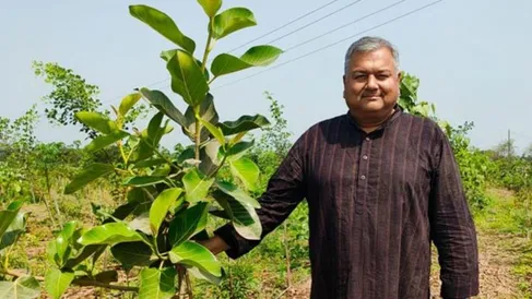 स्वामी प्रेम परिवर्तन पेड़ लगाकर बन गए 'पीपल बाबा', जानें क्या है कहानी -  Swami Prem Parivartan Peepal Baba story -