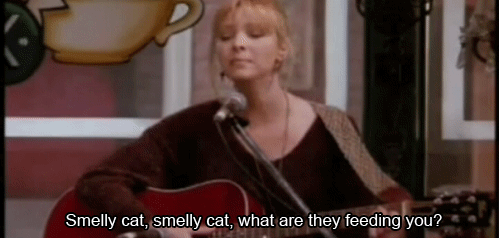 Phoebe Buffay Smelly Cat