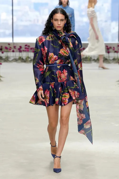 Carolina Herrera Fall 2025 Fashion Show | The Impression