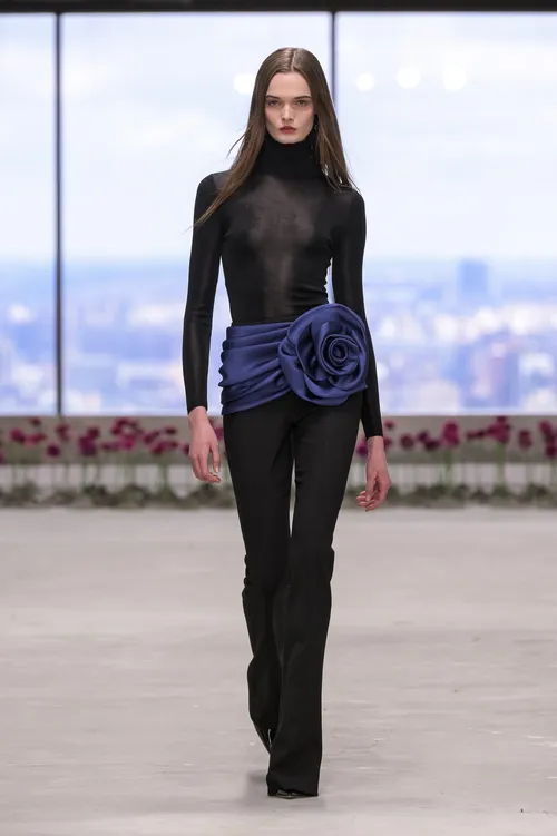 Carolina Herrera Fall 2025 Ready-to-Wear Runway, Fashion Show & Collection  Review [PHOTOS]
