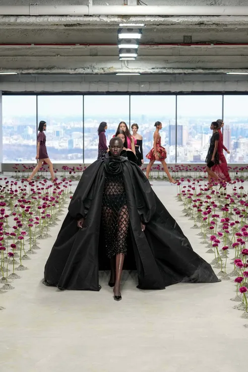 Carolina Herrera Fall 2025 Fashion Show Review | The Impression