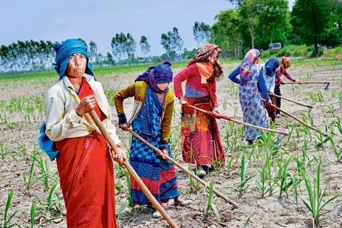 women farmers