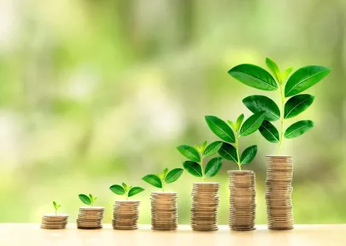 microfinance meaning